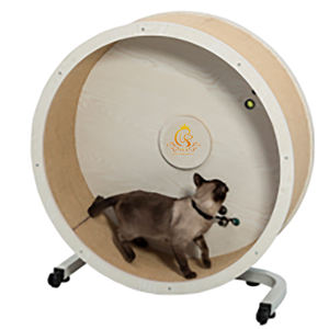 Roue à roulettes pour <span class=keywords><strong>chat</strong></span> EUR PET, entraînement de santé pour chats, <span class=keywords><strong>jouet</strong></span> pour animaux de compagnie professionnel et écologique - Product Image 3