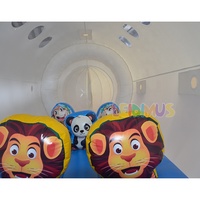 Offre Spéciale gonflable jeu de tunnel d'avion avion gonflable pour parc d'attractions Commercial Bounce Castle à vendre
