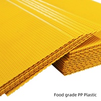 Neuer Imkerei-Bienenrahmen aus Kiefernholz mit PP-Kunststoff-Grundplatten, unmontierter Langstroth-Tiefrahmen, gelb