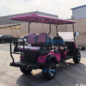 Carrito de Golf Eléctrico de Alta Calidad con Batería de Litio, Nuevo Diseño, Techo para Carrito de Golf, en Venta, Carrito de Golf Motorizado con Puertas - Product Image 3