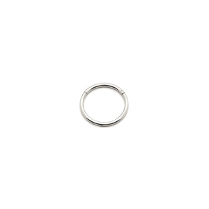 European American Seamless Ring Multi-Purpose Trendy Earrings Stainless Steel Fashion Hoop Earings <strong>Wholesale</strong> Cross-Border <strong>Supply</strong> - Product Image 6