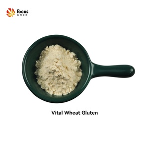 Sản Phẩm Mới Gluten Lúa Mì Quan Trọng Với Giá Cả Và Chất Lượng Tốt Nhất - Product Image 4