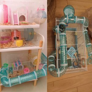 Diy Diverse Duurzame Huisdier Speelgoed Luxe Hamster Tube <span class=keywords><strong>Tunnel</strong></span> Voor Muis Hamster Of Andere Kleine Dieren Te Oefenen En Te Spelen - Product Image 5