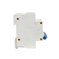 Interruptor MCB de Alto Contenido de Cobre Linziele, Interruptor de Circuito de CC de 600 V y 10 ka, DZ47-125DC, 125 A, 2 Polos, Protección IP20 con Certificación CE