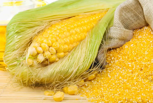 <span class=keywords><strong>Harina</strong></span> <span class=keywords><strong>de</strong></span> <span class=keywords><strong>Gluten</strong></span> <span class=keywords><strong>de</strong></span> Maíz Alta en Proteínas |   Aditivo Alimentario Premium para una Nutrición Óptima del Ganado y Aves <span class=keywords><strong>de</strong></span> Corral - Product Image 2