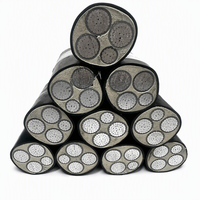 Câble d'alimentation YJLV22- 0.6/1kV 3*95+2*50 à conducteurs en aluminium, isolation XLPE, gaine en PVC, blindage en ruban d'acier, pour installation directe en terre