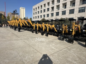 รถขุดตีนตะขาบ550ชั่วโมง55ตัน SY550 SY485 SY215หนักของแท้ - Product Image 6