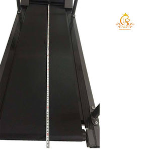 EUR hewan peliharaan listrik berlari Treadmill anjing peliharaan Treadmill membantu menjaga anak anjing cocok untuk anjing besar latihan profesional - Product Image 4