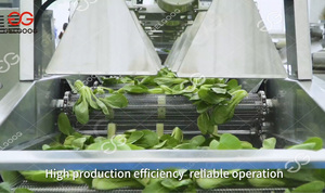 เครื่องปอกเปลือกสลัดใบเขียว Vortex พร้อมเครื่องจักรอุตสาหกรรมโอโซนสำหรับล้างผัก - Product Image 2