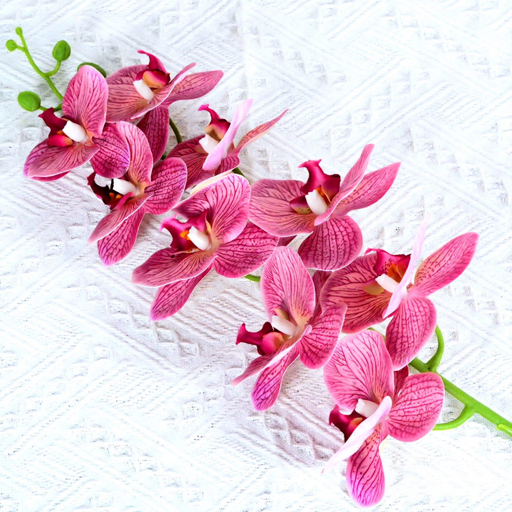 9-head phalaenopsis orchid-deep purple pattern