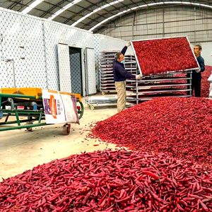 Équipement de séchage direct d'usine pour les légumes, prix de gros, déshydrateur alimentaire, machine à sécher le poivre - Product Image 3
