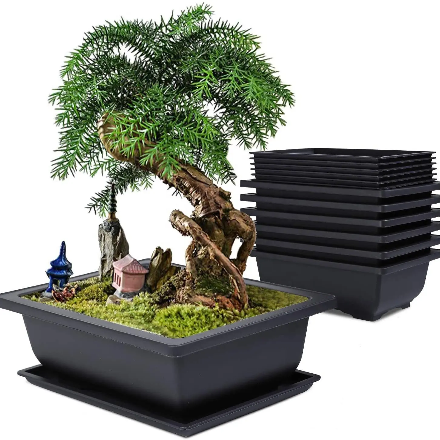 Bonsai Training Pot avec plateau d'humidité avec des formes carrées et rectangulaires de différentes tailles adaptées aux plantes succulentes