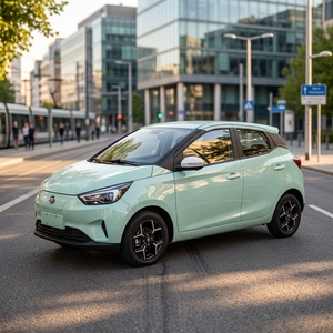Nouvelle voiture électrique urbaine chinoise à 5 portes, conduite à droite, 4 places, haute vitesse, autonomie de 290 km - Product Image 5