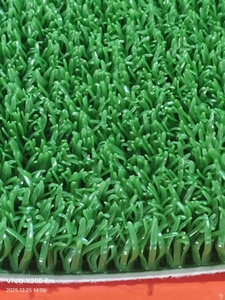 <span class=keywords><strong>Tappeto</strong></span> Moderno per Uso Commerciale <span class=keywords><strong>in</strong></span> LDPE, Resistente alla Corrosione, Imbottito, a Pelo Lungo, Realizzato a Macchina, per Esterni, Personalizzato, Resistente, per la Ricerca dell'Oro - Product Image 6