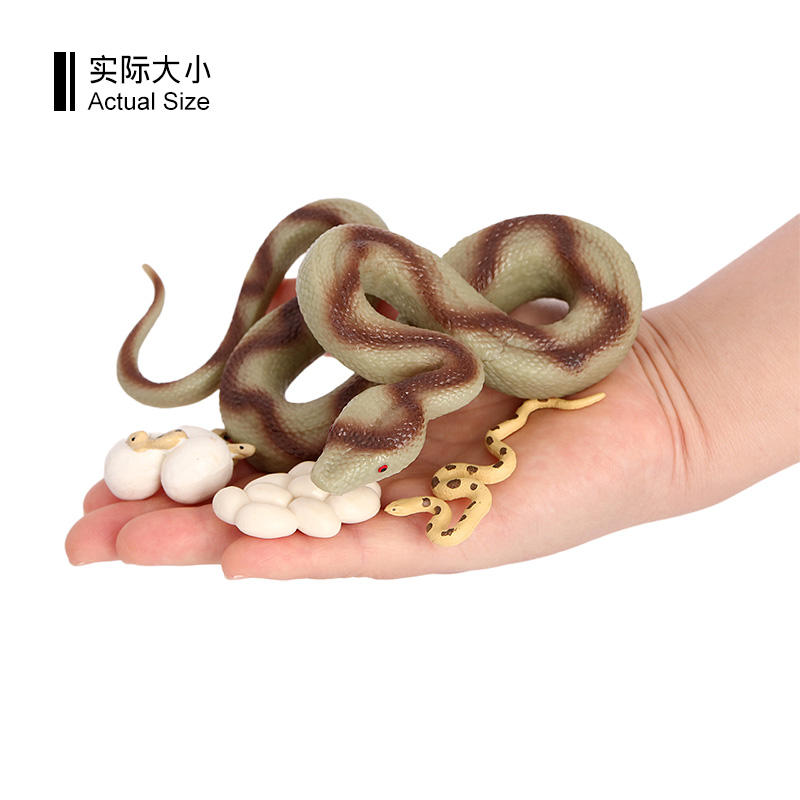 2493 Ciclo de vida de Python