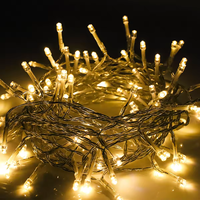 Wasserdichte LED-Lichterkette für den Außenbereich 10M 20M 30M 50M 100M Feiertagsdekoration IP44-Schutzklasse 220V Weihnachtsbeleuchtung 100 LEDs