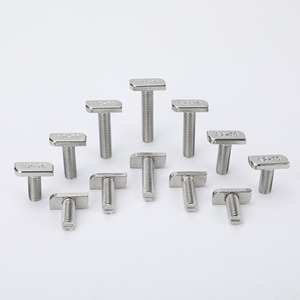 Factory Manufacture Various 304 Stainless Steel DIN Standard T Bolts M8-M30 T-Bolts for Milling Machine Fixtures - Product Image 2