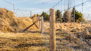 Hiện đại phong cách cao chăn nuôi an ninh hàng rào trong kho gỗ trellis cho gia súc lợn tráng giá rẻ Tính năng Pig bằng chứng thiết kế hiện đại - Product Image 2