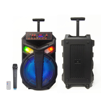 Haut-parleur passif de 12 pouces pour home cinéma, 5.0 20W sans fil, avec télécommande LED RGB, karaoké, prise en charge de 2 micros