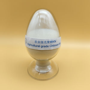 Fertilizzante biologico diretto da fabbrica di grado agricolo Chitosan KN - Product Image 2