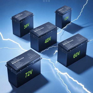 Elektrische motorfiets accu 51.2V 20-100Ah LiFePO4 Lithium-ion batterijpakket met 4000 cycli en <span class=keywords><strong>3</strong></span> jaar garantie voor scooter - Product Image 4