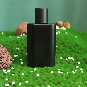 Mat siyah şeffaf buzlu parfüm boş şişe özel parfüm şişesi doldurulabilir 50ml parfüm şişesi