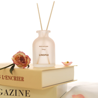 Bouteille de diffusion de roseau de luxe et unique personnalisée, bouteille de diffusion de roseau vide, boîte cadeau personnalisée