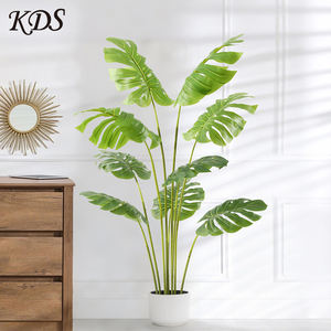 Simular plantas con respaldo de tortuga árbol plantas en maceta ornamento Sham Tree Strelitziaceae <span class=keywords><strong>Chrysalidocarpus</strong></span> <span class=keywords><strong>Lutescens</strong></span> fábrica al por mayor - Product Image 3