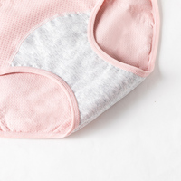 Logo personnalisé pas cher prix M-2XL grande taille coton période menstruelle culotte réutilisable femmes période sous-vêtements 8 couleurs