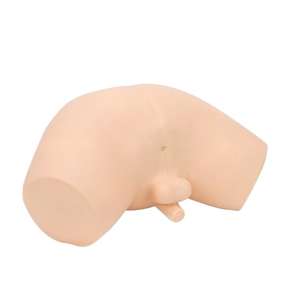 Modèle d'enseignement éducatif, modèle <span class=keywords><strong>de</strong></span> simulation d'examen <span class=keywords><strong>de</strong></span> la <span class=keywords><strong>prostate</strong></span> pour la formation médicale - Product Image 4