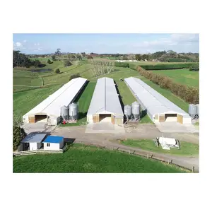 Structure en acier préfabriquée ferme de toit en acier commerciale pour l'aviculture maison de volailles d'occasion à vendre