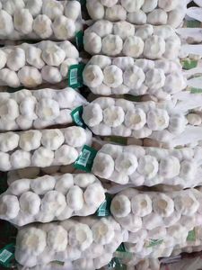 Alho Branco Natural Fresco da China Jin Xiang com 12 Meses de Validade para Uso em Temperos e Exportação Global - Product Image 6