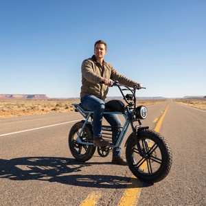 Vélo électrique longue portée à moteur sans balais avec batterie 16Ah, vélo électrique de tourisme pour les déplacements interétatiques - Product Image 6