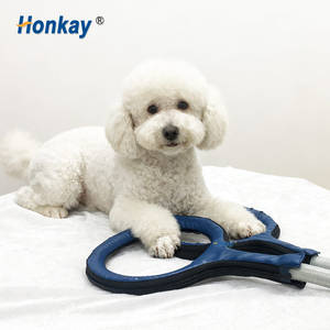 Appareil PEMF portable pour améliorer la circulation sanguine locale, calmer l'humeur et réduire la raideur chez les animaux de compagnie - Product Image 1