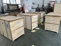 Machine d'emballage automatique LY-IIIS100 pour sachets de boissons et d'aliments, idéale pour les sachets souples avec sauce en stick