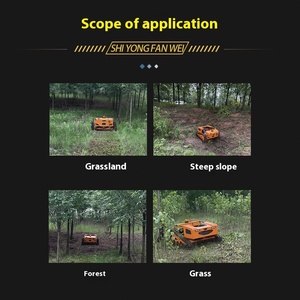 Cortacésped de un solo cilindro con control remoto de ancho de corte de 800mm con función de cortador de césped - Product Image 6