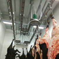 Abattoir Halal certifié, équipement d'abattage de bétail