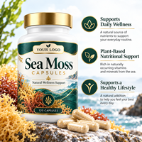 Capsules de mousse de mer en marque privée OEM, 1000 mg, 120 capsules, complément alimentaire naturel à base de plantes