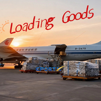 Fournisseur de services de fret aérien expert Chine-France Paris, porte-à-porte, porte-à-aéroport, avec horaires de vol stables pour le commerce général