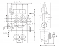 Katup Kontrol Terarah Hidrolik Katup Monoblock 40Lpm Distributor Hidrolik Monoblock 250bar