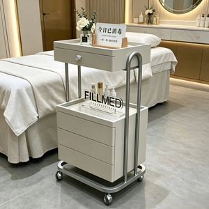 Carrito Móvil Metálico Moderno para Salones de Belleza y Clínicas Estéticas, Carrito de Almacenamiento de 4 Ruedas para Procedimientos Cosméticos y Cuidado de la Piel - Product Image 2