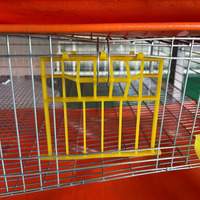 Cage à cailles Type H Cages à cailles à 6 niveaux pour la production d'œufs Cage à cailles