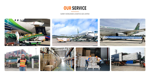 Trasporto via mare dalla cina al Canada spedizioniere porta a porta/USA/Canada paesi della Svezia Australia messico irlanda italia - Product Image 5