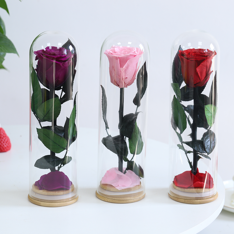 New Style Preserved Dried Ruscus Flower