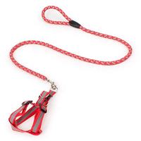 Correa para Perros y Gatos Ajustable, de 1.2m, Colorida, Reflectante, de Lujo, Suave, Duradera, Ecológica, de Plástico Oxford, para Exteriores, Venta al Por Mayor Personalizada