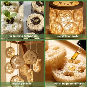 Natural Loofah Slices <b>for</b> Soap Making, Organic Luffa Cuts <b>for</b> DIY <b>Exfoliating</b> Soaps, Homemade Handmade Loofa Soap - Product Image 4