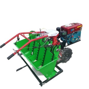 Semoir à ail 6 rangs, moteur diesel, agriculture, haute productivité - Product Image 5
