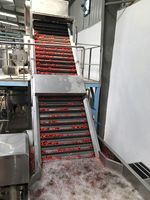 Wortelverwerkingslijn Wortelsap Productielijn Wortelpuree Maken Apparatuur