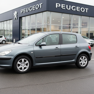 PEUGEOT 307 01-05 Front Right <b>Door</b> <b>Trim</b> Strip Car Body Kit LONG TR Origin with Brand Product Code PEJ1337001 Model DE-GA - Product Image 3