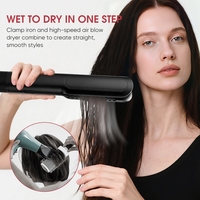 Multi-styler 2 en 1, airstyler, lisseur à air humide et sec, plancha à cheveux, sèche-cheveux, fer à lisser avec air